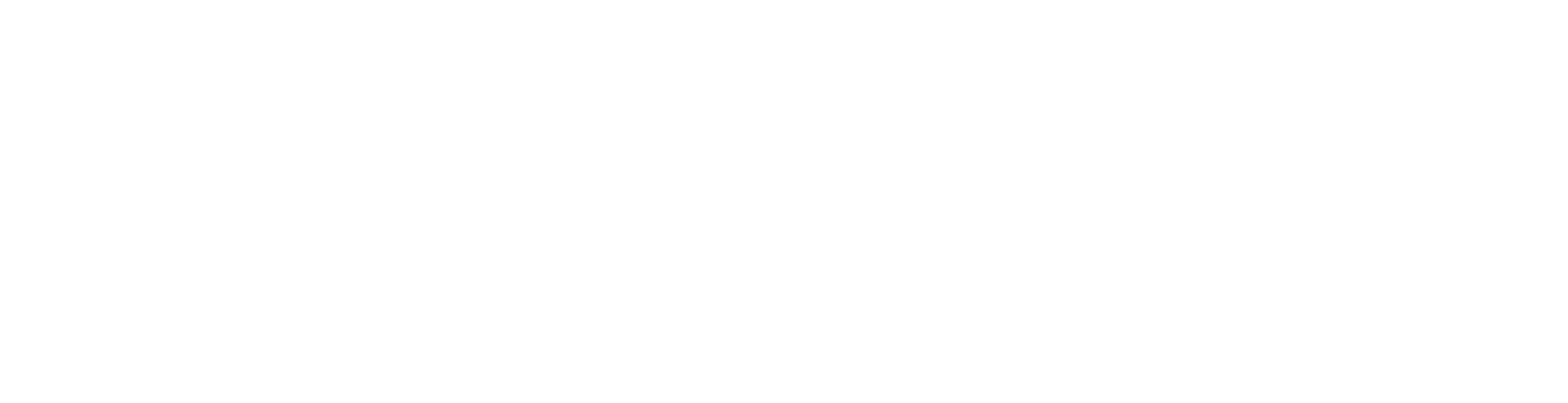 AGIS科学研究基盤モデル開発プログラム